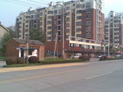 明珠大道最新爆料,揭秘城市交通新动脉的蜕变与未来 第1张 明珠大道最新爆料,揭秘城市交通新动脉的蜕变与未来 第1张