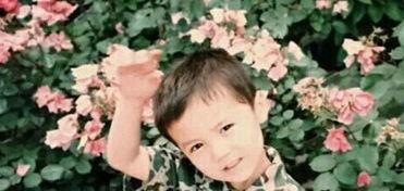 鹿晗爆料小时候视频,揭秘明星小时候的萌态瞬间 第1张 鹿晗爆料小时候视频,揭秘明星小时候的萌态瞬间 第1张